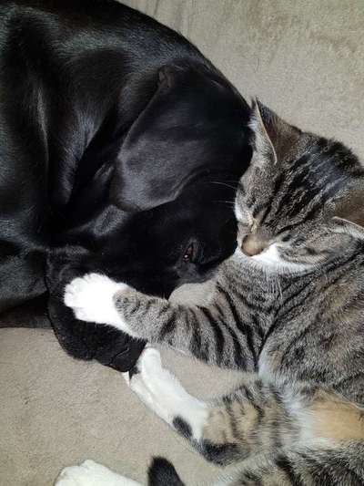 CHALLENGE Nr.17-Beitrag-Bild