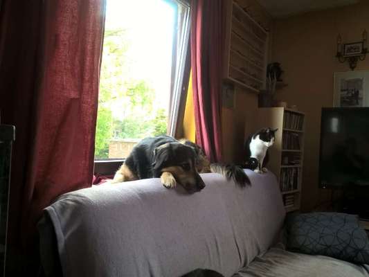 CHALLENGE Nr.17-Beitrag-Bild