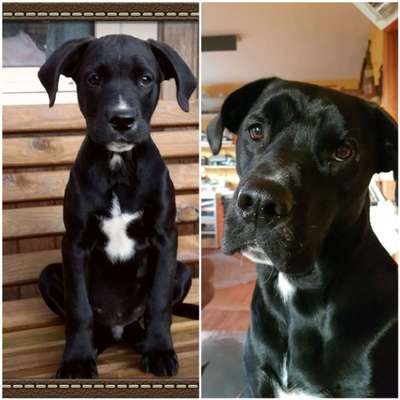 Vorher.... Nachher-Beitrag-Bild