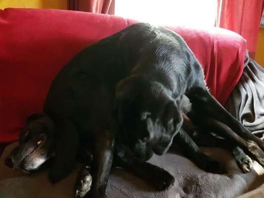 Die unbequemsten und lustigsten Schlafpositionen-Beitrag-Bild