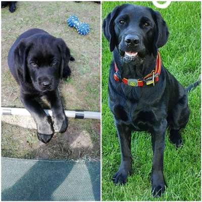 Vorher.... Nachher-Beitrag-Bild