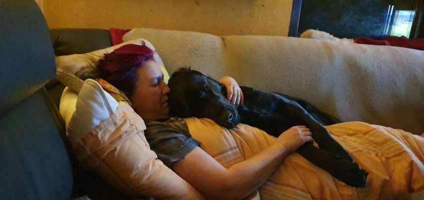 Hunde sind die beste Medizin-Beitrag-Bild