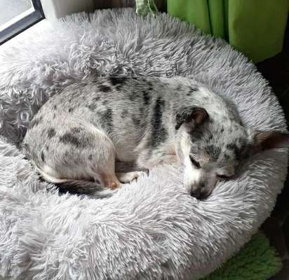 Erfahrung mit Wolkenbett-Beitrag-Bild