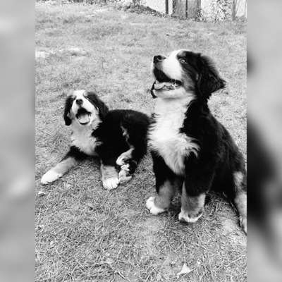 Foto-Challenge 76: Foto in Schwarz-Weiss-Beitrag-Bild