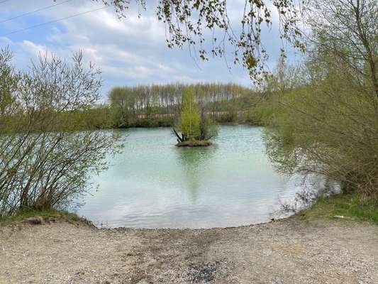 Hundeauslaufgebiet-Ramertshofer Weiher-Bild