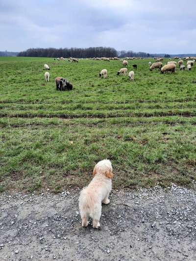 Doppelgänger gesucht !-Beitrag-Bild
