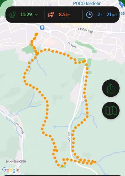 Erfahrung mit GPS Trackern-Beitrag-Bild