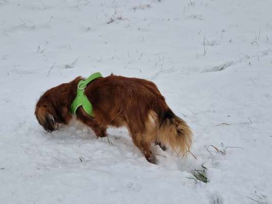 Verspielt-Beitrag-Bild