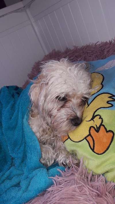 Challenge 21 - wo bin ich : )-Beitrag-Bild