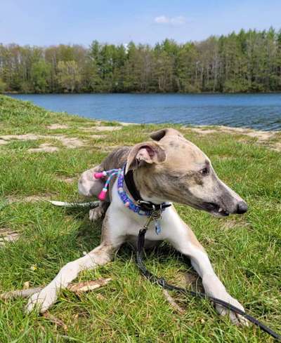 Eure Strandbilder :)-Beitrag-Bild