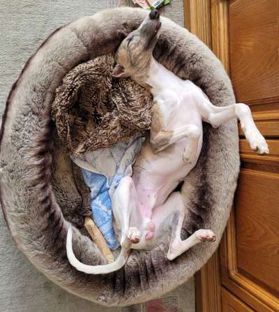 Die unbequemsten und lustigsten Schlafpositionen-Beitrag-Bild