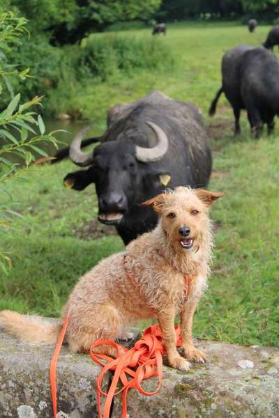 Austausch zur Fotografie-Beitrag-Bild