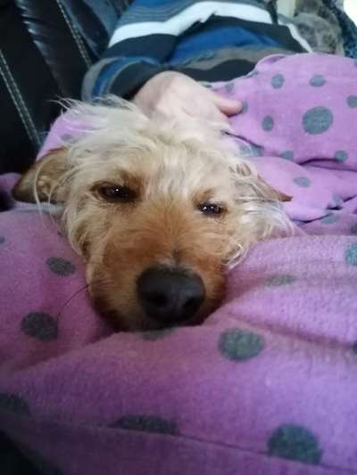 42. Handy Fotochallenge - Den richtigen Riecher haben-Beitrag-Bild