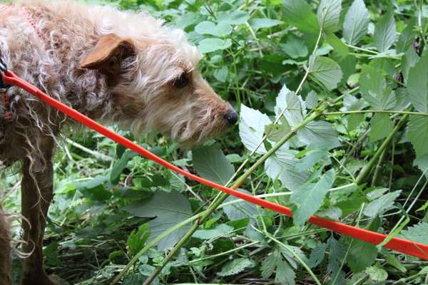 Austausch zur Fotografie-Beitrag-Bild