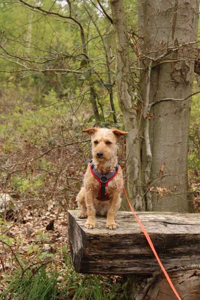 Austausch zur Fotografie-Beitrag-Bild