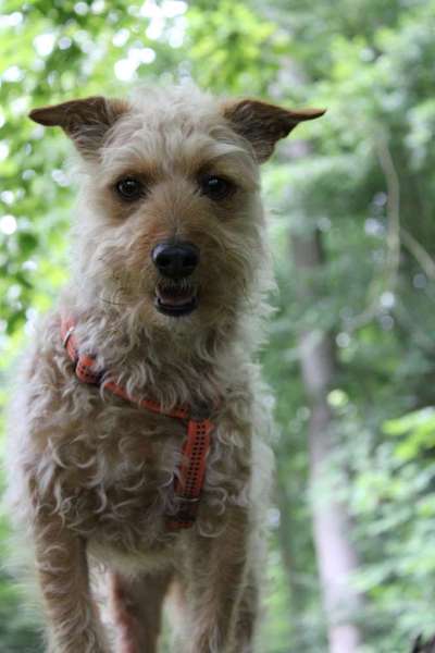 Austausch zur Fotografie-Beitrag-Bild