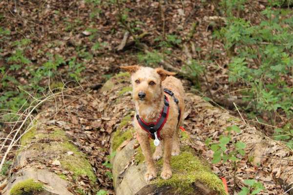 Austausch zur Fotografie-Beitrag-Bild
