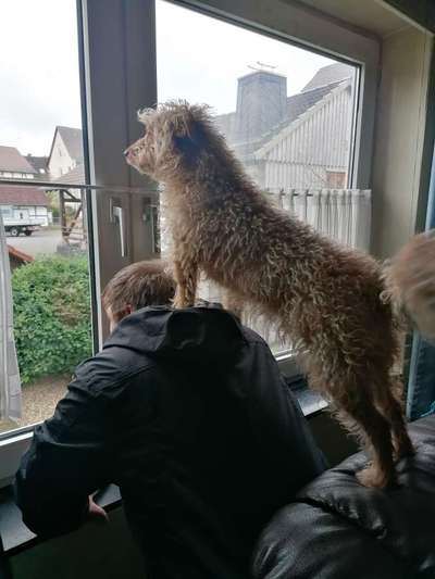 22. Collagen Challenge- Lebensfreude-Beitrag-Bild