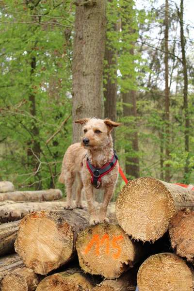 Austausch zur Fotografie-Beitrag-Bild