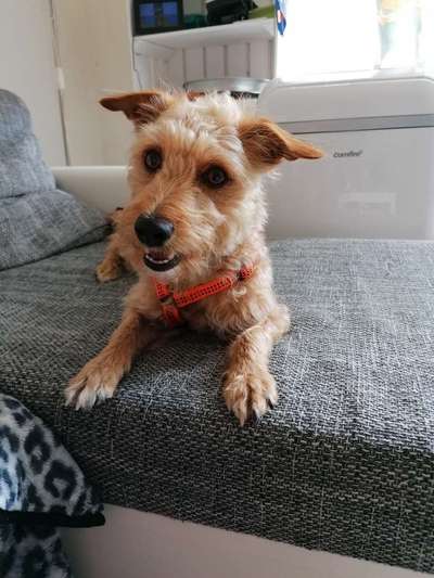 Fotochallenge Nr.122-Beitrag-Bild