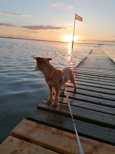 Sonnenaufgänge oder - untergänge-Beitrag-Bild