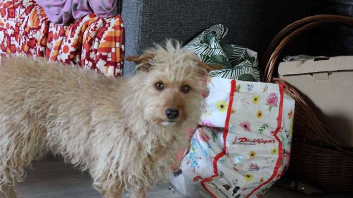 Austausch zur Fotografie-Beitrag-Bild