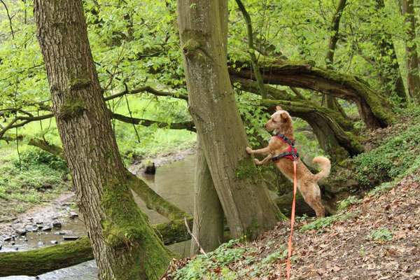 Austausch zur Fotografie-Beitrag-Bild