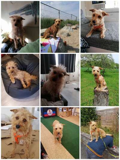 23. Collagen-Challenge: Portraits-Beitrag-Bild