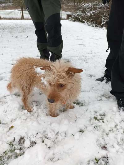 Verspielt-Beitrag-Bild