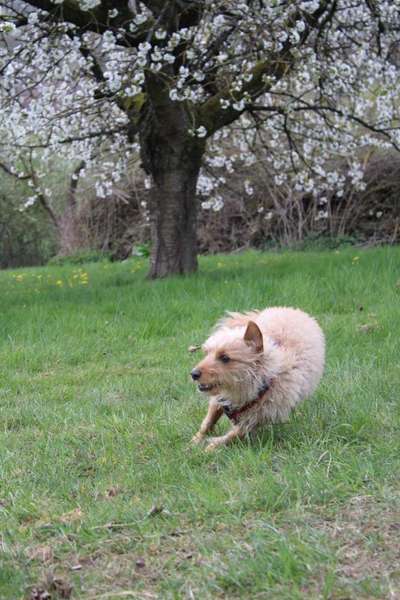 Austausch zur Fotografie-Beitrag-Bild