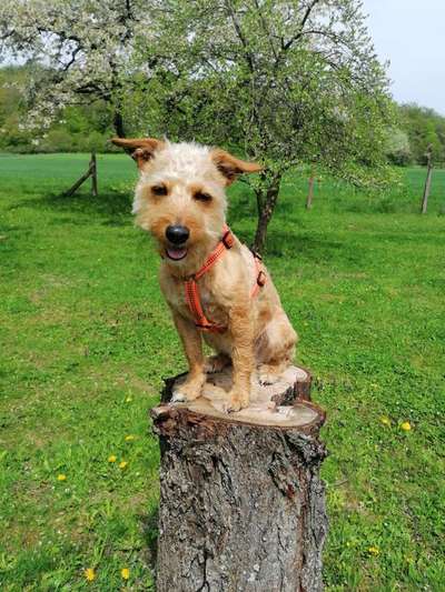 27. Handy Fotochallenge-Beitrag-Bild