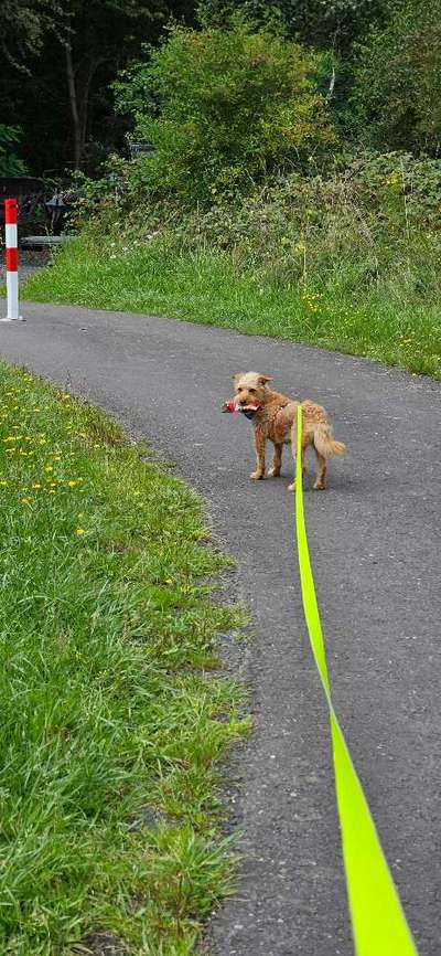 65. Handy Foto Challange                     "Ich kann nicht ohne..."-Beitrag-Bild