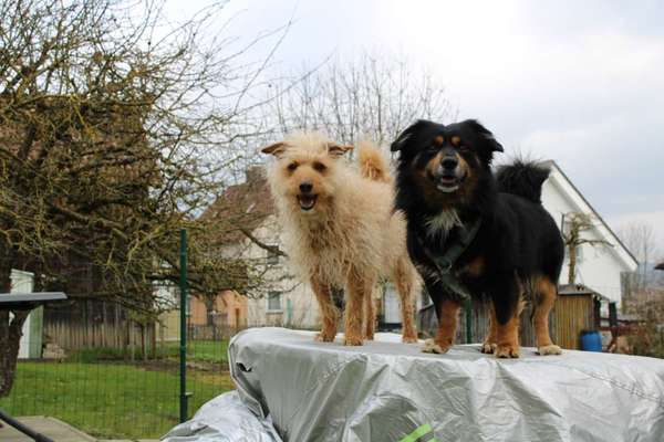 Austausch zur Fotografie-Beitrag-Bild