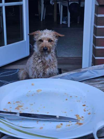 147. Foto Challenge: Bettelblick-Beitrag-Bild