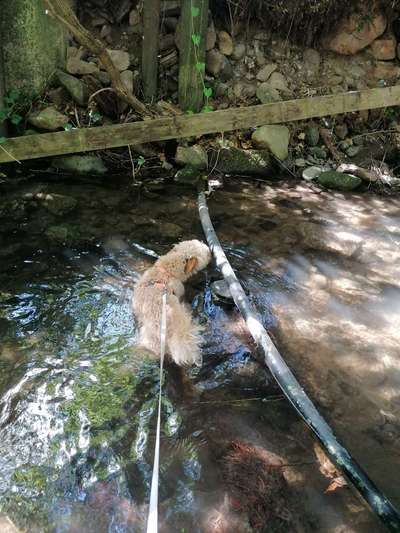 Foto Wettbewerb-Beitrag-Bild