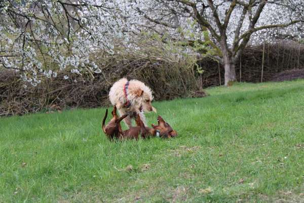 Austausch zur Fotografie-Beitrag-Bild