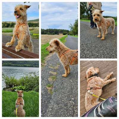 53. Collage Challenge - Verschiedene Blickwinkel-Beitrag-Bild