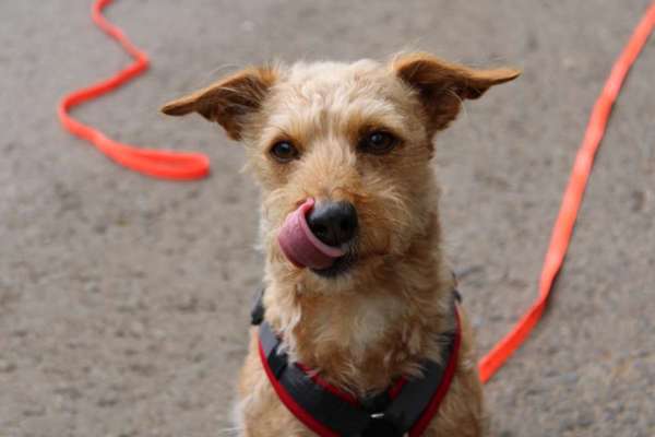 Austausch zur Fotografie-Beitrag-Bild