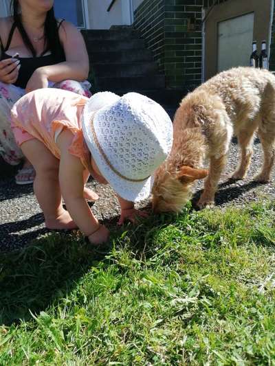 Dogorama Photo Challenge- Der Nase nach-Beitrag-Bild