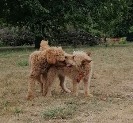 Fotochallenge 131-Beitrag-Bild