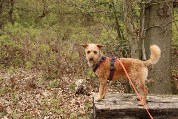 Austausch zur Fotografie-Beitrag-Bild