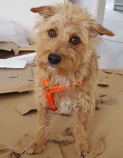 19. Farben  Fottochallenge :
Lieblingsfarbe-Beitrag-Bild