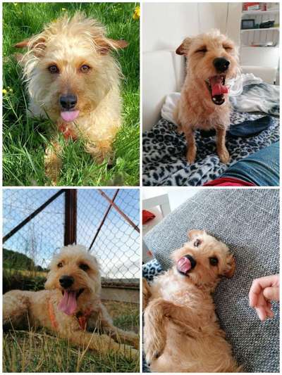 18. Collagen Challenge - Zunge raus!-Beitrag-Bild