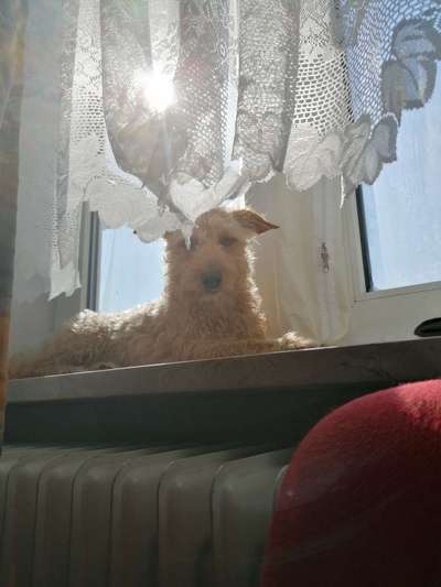 Fotowettbewerb zum Thema "Sonne"-Beitrag-Bild