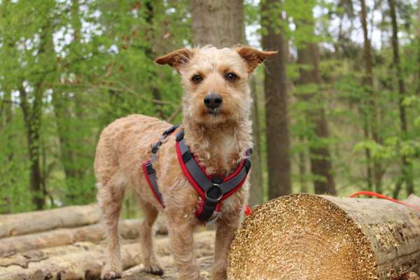 Austausch zur Fotografie-Beitrag-Bild