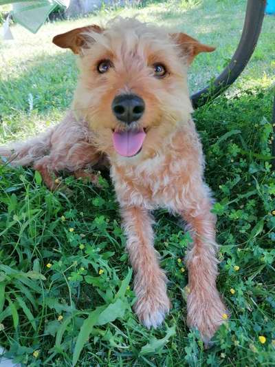 Farben Fotochallenge Thema ,,Grün"-Beitrag-Bild