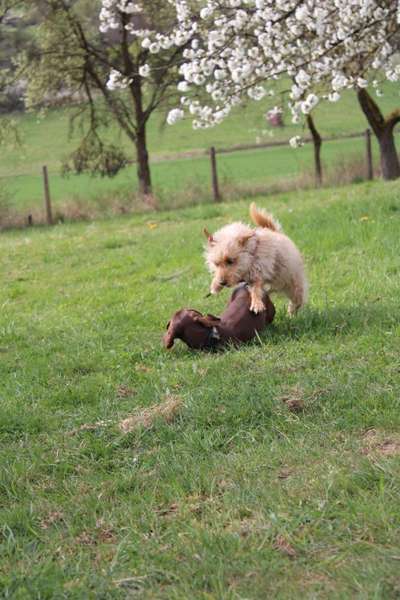 Austausch zur Fotografie-Beitrag-Bild