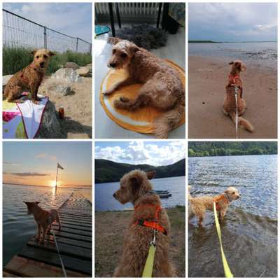 Zeigt eure schönsten Sommerbilder-Beitrag-Bild