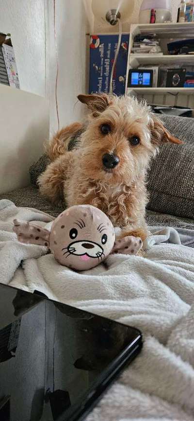 34. Farben-Challenge: Punkte - Punkte - Pünktchen-Beitrag-Bild