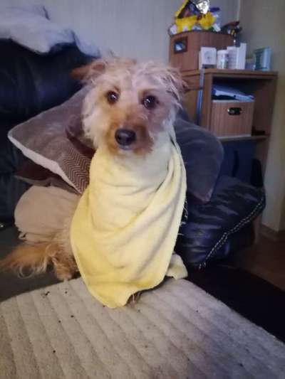 Lustigsten Bilder-Beitrag-Bild